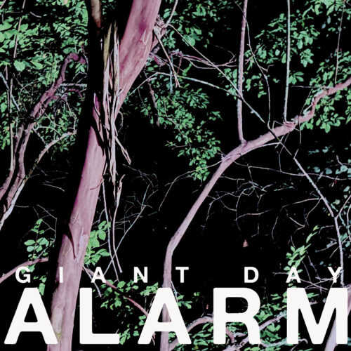 Giant Day - Alarm LP